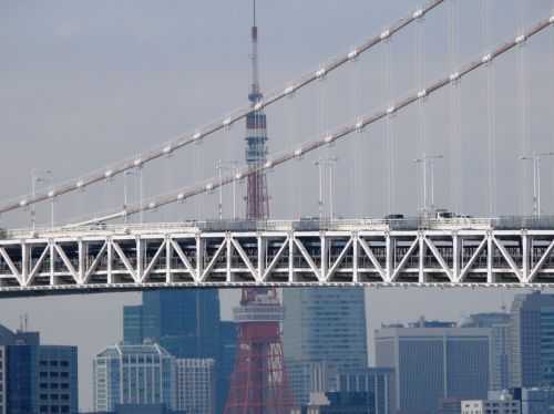 MARATONA DI TOKYO 2015 2013